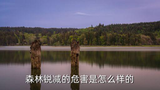 漢中市山林面積測(cè)繪公司...